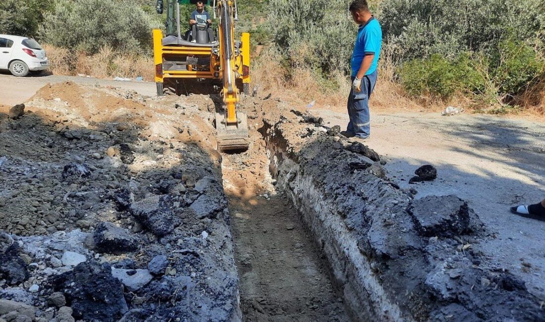 Hatay Büyükşehir Belediyesi Fen