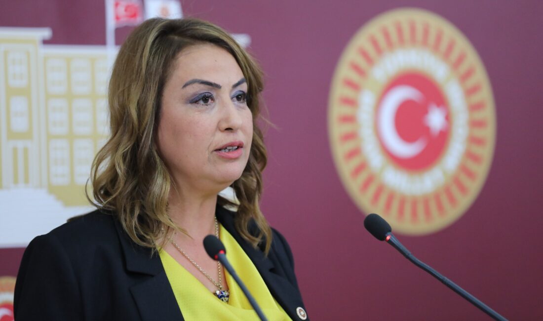 CHP Hatay Milletvekili Nermin