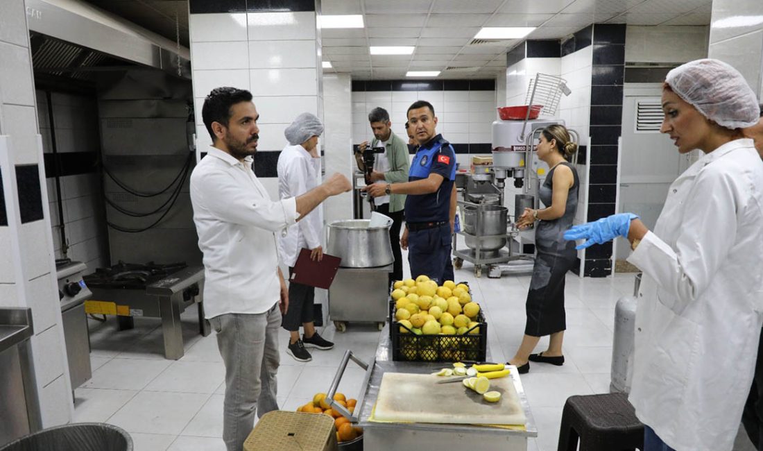 Hatay Büyükşehir Belediyesi, il