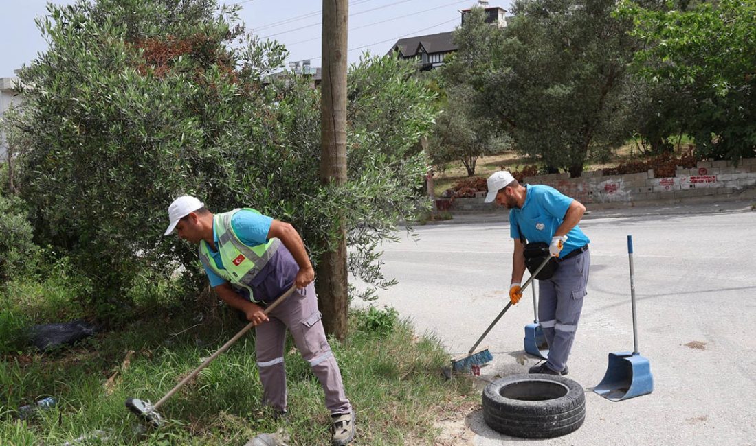 Hatay Büyükşehir Belediyesi, çevre