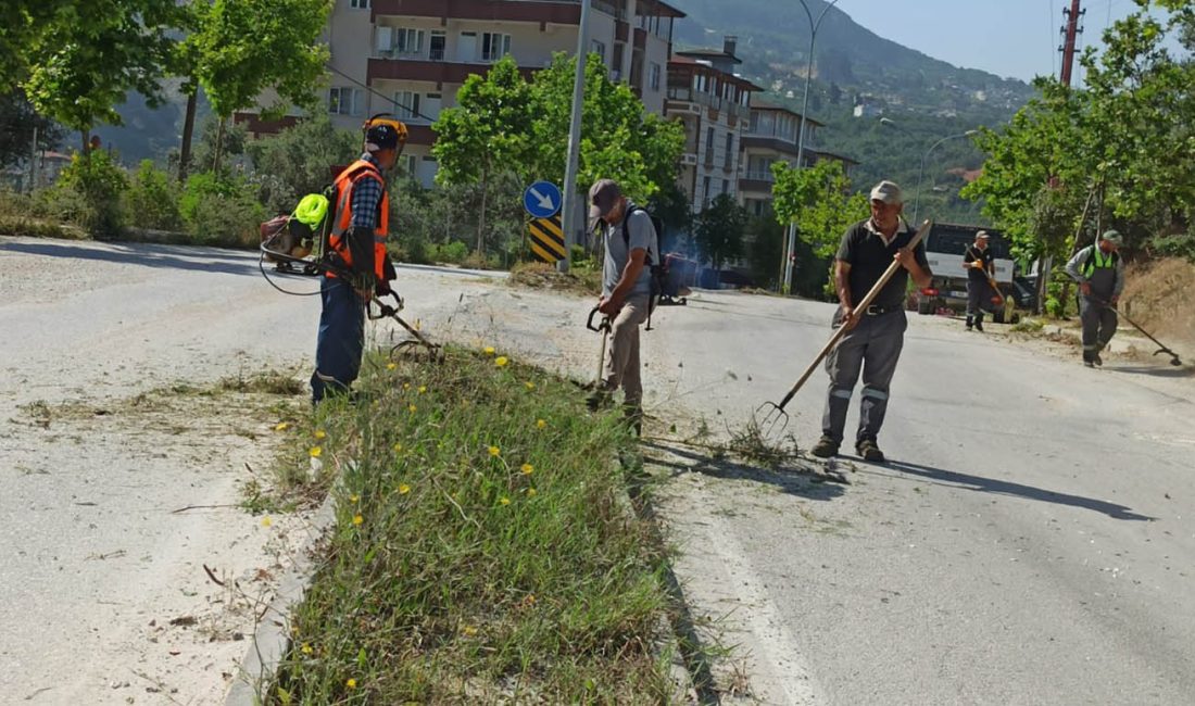 Hatay Büyükşehir Belediyesi, il