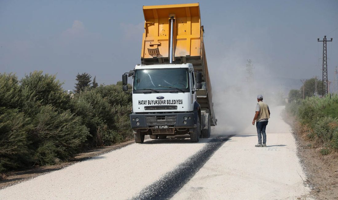 Hatay Büyükşehir Belediyesi, il