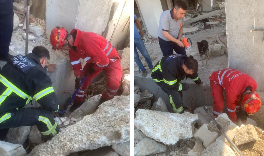 Hatay’da yavruları depremde yıkılmış